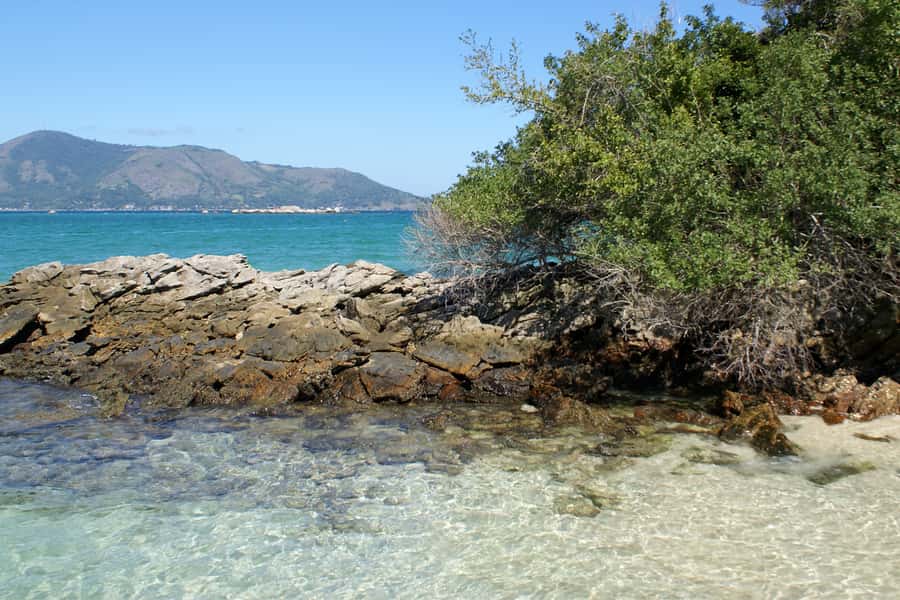 From Rio: Full-Day Angra dos Reis Cruise & Island Tour - Wildlife and views from the water