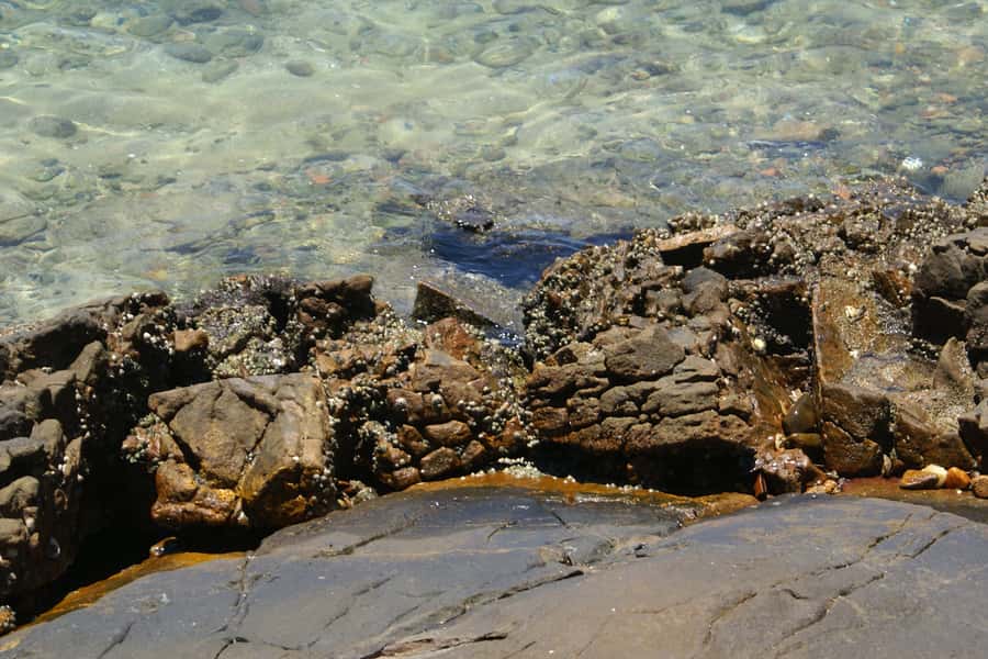 From Rio: Full-Day Angra dos Reis Cruise & Island Tour - The first two island stops