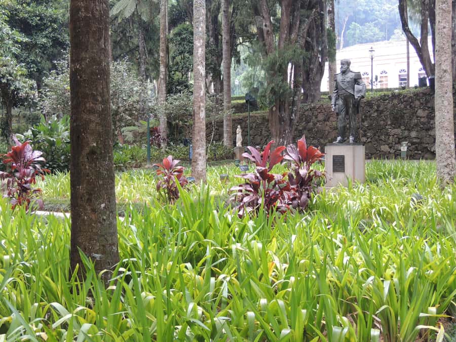 From Rio: Full-Day Tour to The Imperial City of Petrópolis - Guides, languages, and group atmosphere