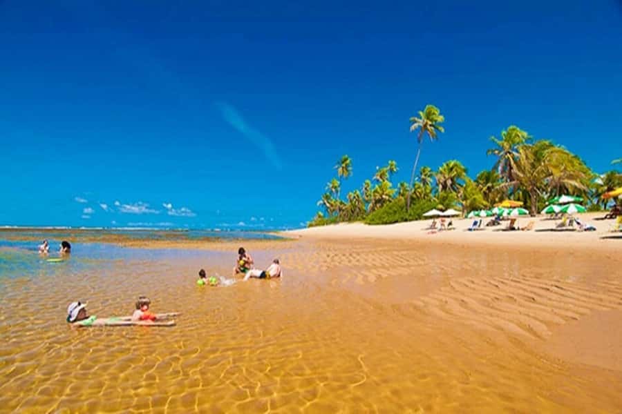 From Salvador: Praia do Forte & Guarajuba Beach Daytrip - Four hours at Praia do Forte
