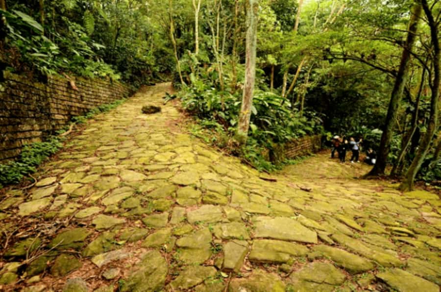 From São Paulo: Private Tour of Atlantic Forest & Valleys - Who will enjoy this walk most