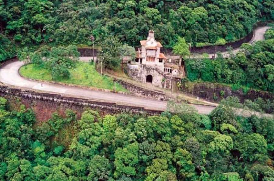 From São Paulo: Private Tour of Atlantic Forest & Valleys - Choosing the return route
