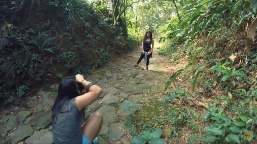 From São Paulo: Private Tour of Atlantic Forest & Valleys - What the guides add to the day