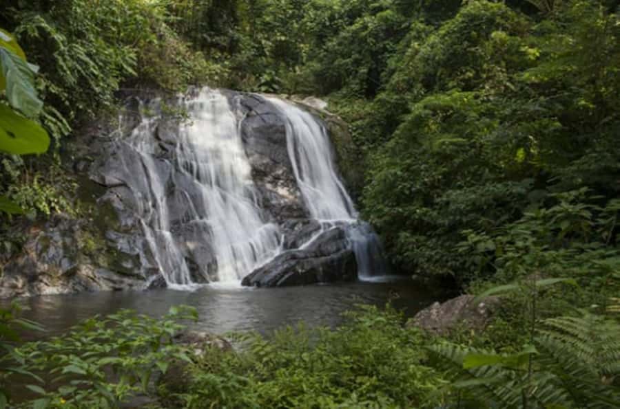 From São Paulo: Private Tour of Atlantic Forest & Valleys - Picnic supplies, food, and the real price