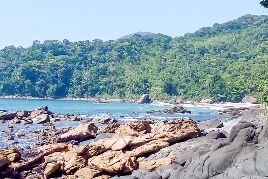 From São Paulo: Santo Amaro Island Trekking by Wild Beaches - The Hans Staden Trail begins under thick forest