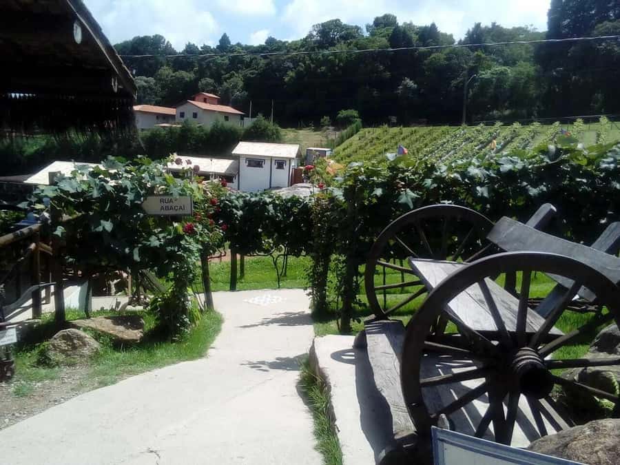 From São Paulo: São Roque Wineries Route and Tasting of Wine - Practical booking advice before you go