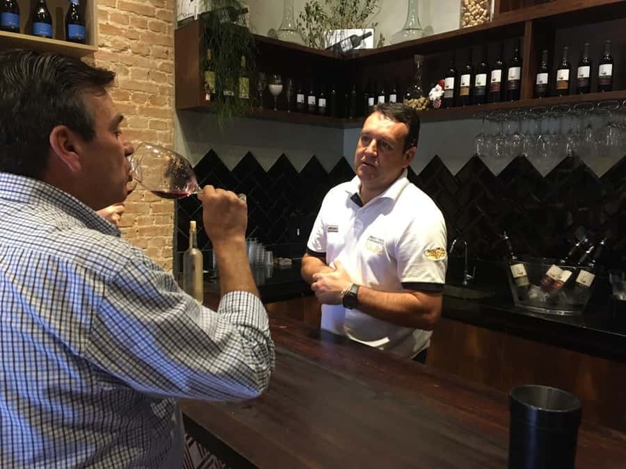 From São Paulo: São Roque Wineries Route and Tasting of Wine - The nine-hour plan from hotel pickup to return