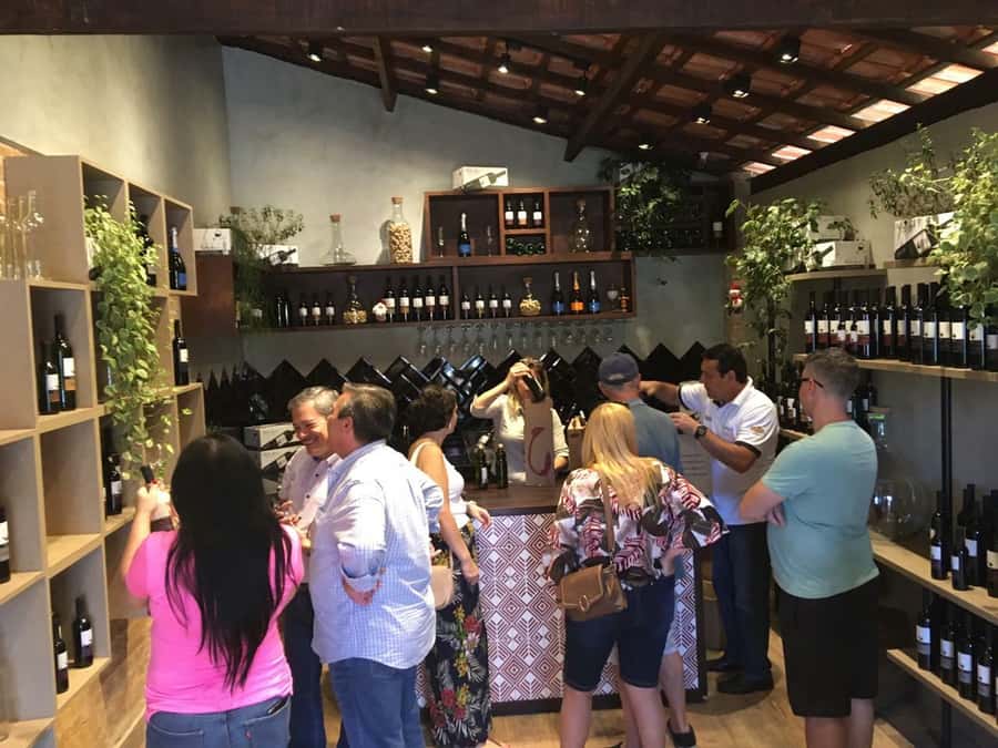 From São Paulo: São Roque Wineries Route and Tasting of Wine - Is $126 a fair price?