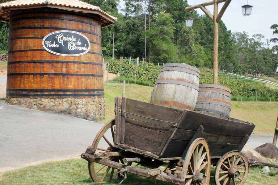 From São Paulo: São Roque Wineries Route and Tasting of Wine - Three wineries and a taste of São Roque production