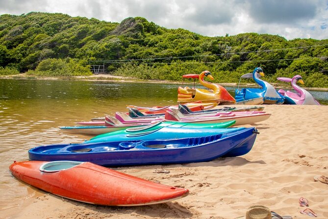 Full Day 4x4 South Coast Tour - Mirante dos Golfinhos for a fast coastal view