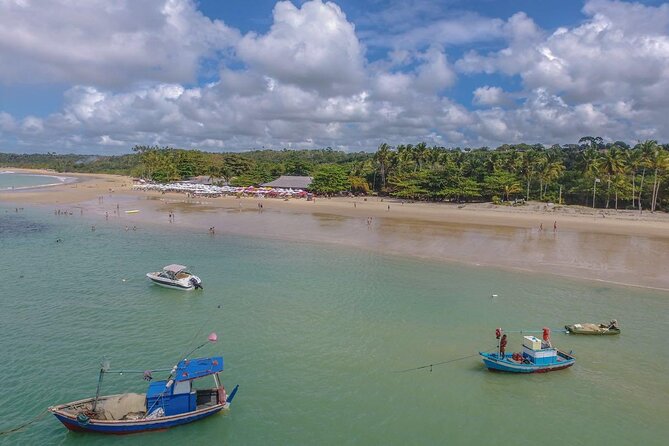 Full Day Tour in Trancoso with Chocolate Factory - Four hours under the coconut trees at Coqueiros Beach