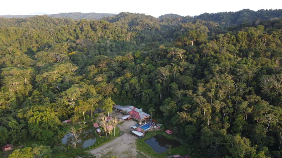 Grand Selva Tours 3 Day Jungle Expedition Ecuador all incl - Day two: Floating to Amazoonico