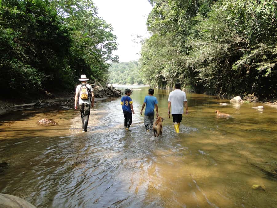 Grand Selva Tours 3 Day Jungle Expedition Ecuador all incl - Who should book this Amazon program?
