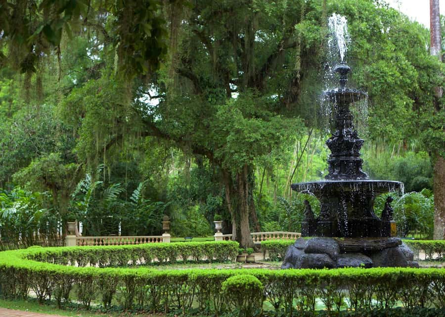 Green Rio: Guided Tour of Botanical Garden and Lage Park - Why These Two Rio Sites Work So Well Together