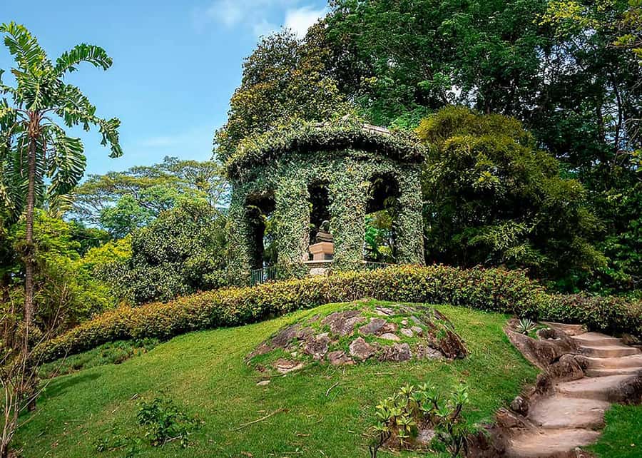 Green Rio: Guided Tour of Botanical Garden and Lage Park - The Mansion, Pool, and Corcovado View