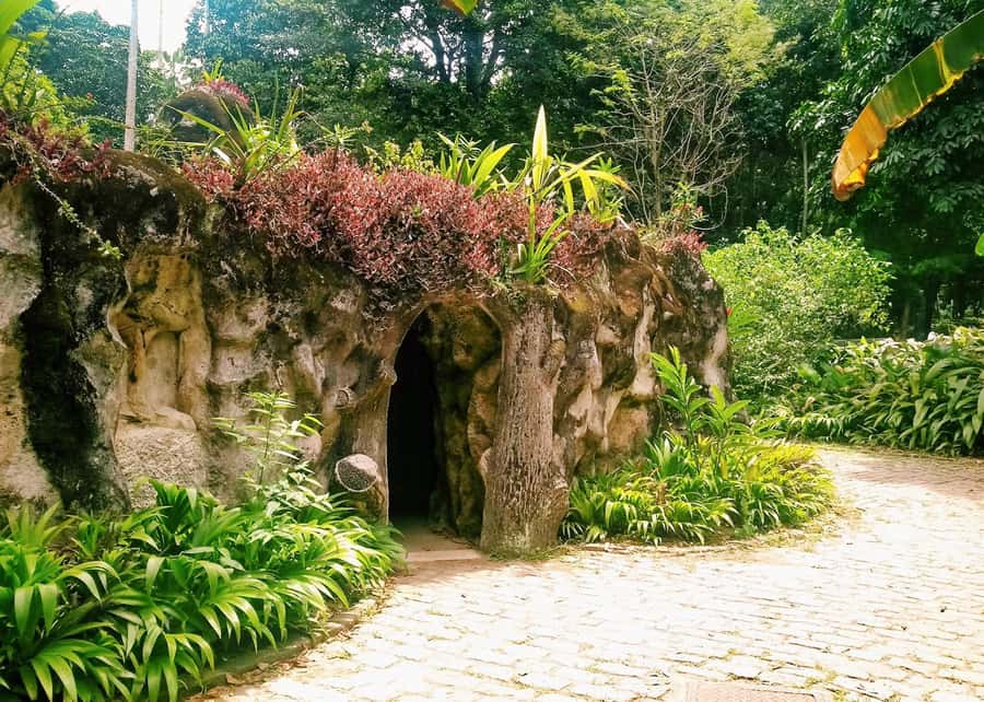 Green Rio: Guided Tour of Botanical Garden and Lage Park - Starting with the Botanical Garden’s Royal Palms