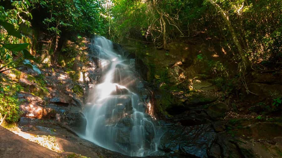 Guided Hike and Kayak or SUP River Tour w/ Transfer - What three hours really means
