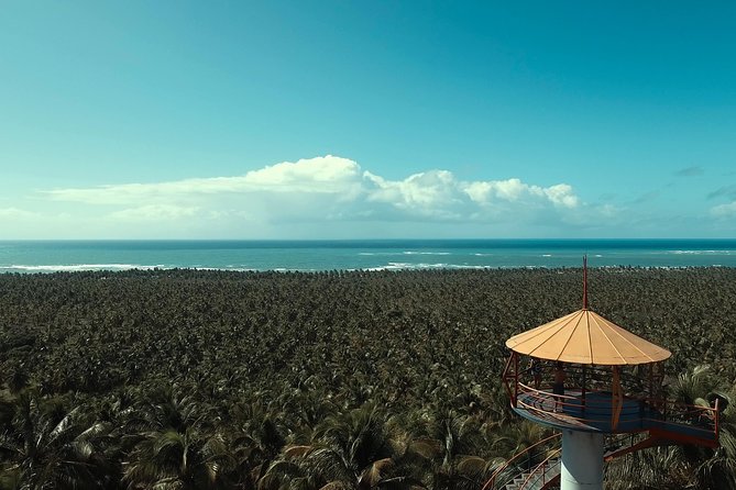 Gunga Beach - Leaving Maceió by WS Receptivo - Smart tips for a smoother Gunga day