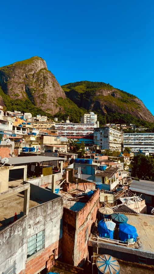 Hike Dois Irmãos + Vidigal Favela Experience - Climbing the Dois Irmãos trail