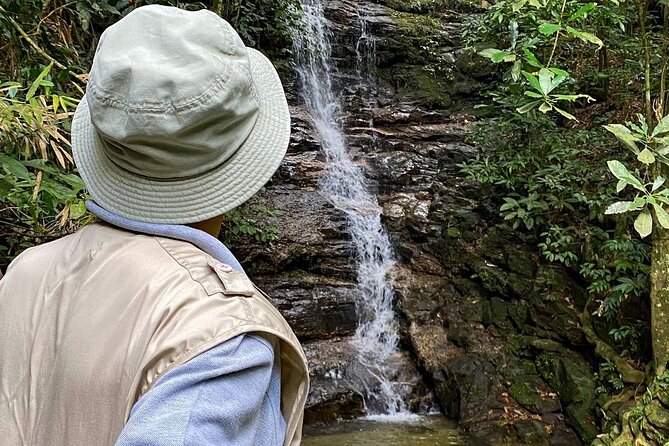 Hiking in the Tijuca Forest : Waterfalls and Caves - Why Tijuca Forest makes a good half-day from Rio