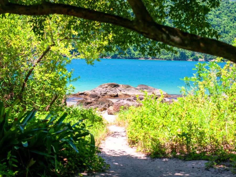 Idyllic Islands Private Speedboat Tour in Paraty - Should you book the Paraty speedboat tour?