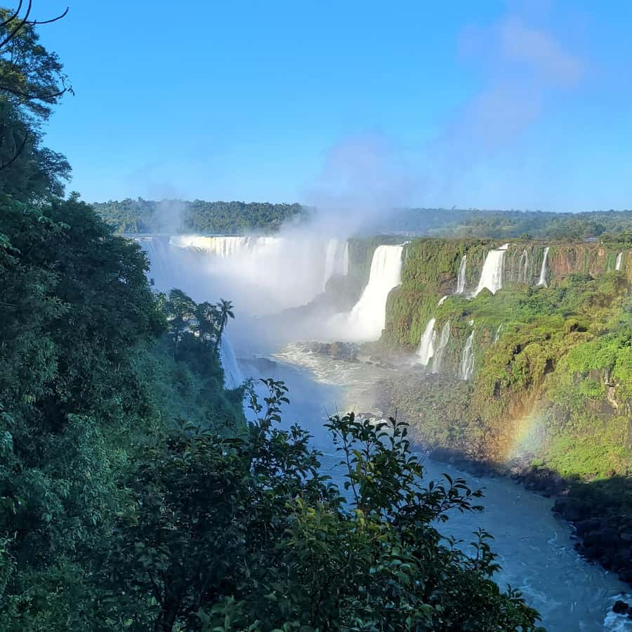 Iguassu Falls: Brazilian Side Private Tour - Macuco Safari: the optional soaking session
