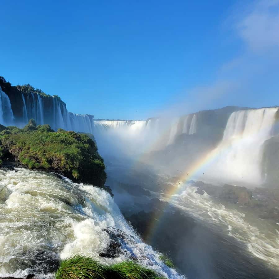 Iguassu Falls: Brazilian Side Private Tour - Hotel pickup and the 12-kilometer rainforest drive