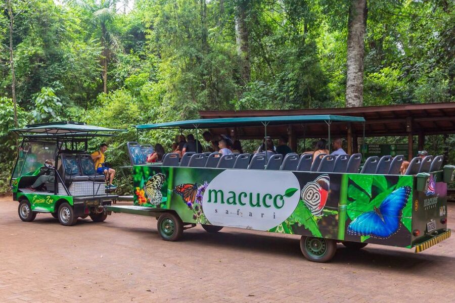 Iguassu Falls: Guided Tour & Macuco Safari on Pontoon Boats - Floriano Falls and the panoramic elevator