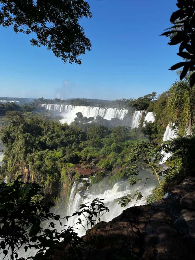 Iguassu Falls: Private Tour Argentina side - The guide’s role beyond the viewpoints