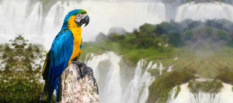 Iguazu Falls: 2-Day Argentinian and Brazilian Iguazu Falls - FAQ