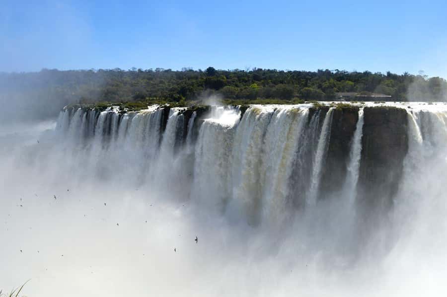 Iguazu Falls: 2-Day Argentinian and Brazilian Iguazu Falls - Day one: Argentinas train, forest, and roaring water