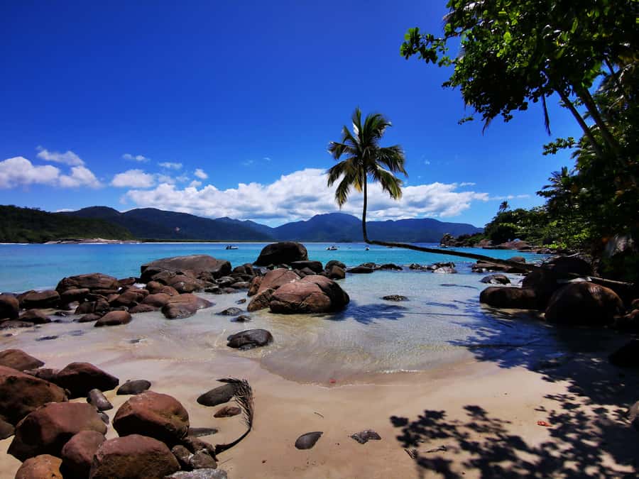 Ilha Grande: 360° Circumnavigation Speed Boat Tour - 8h - Why this boat trip reaches the wild side of Ilha Grande