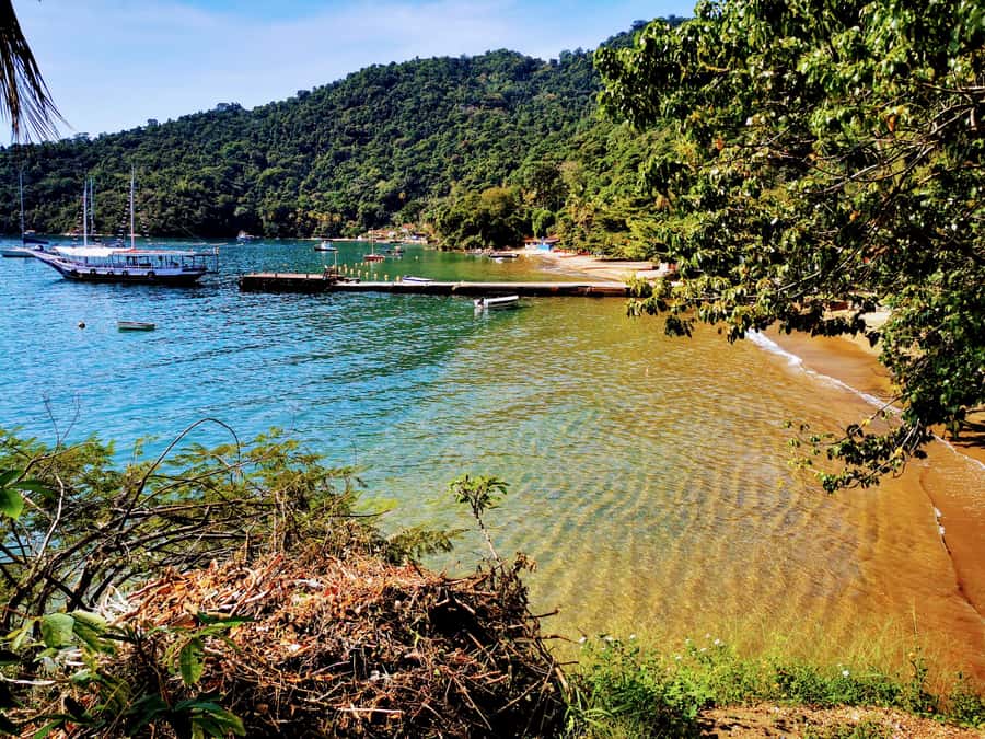 Ilha Grande: 360° Circumnavigation Speed Boat Tour - 8h - Aventureiro and the famous coconut tree