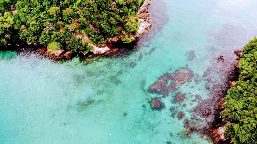 Ilha Grande: 6-Hour Speedboat Tour to Blue and Green Lagoons - The ride back through Ilha Grande State Park