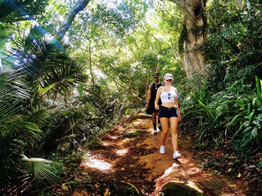 Ilha Grande: Lopes Mendes Private Hiking Tour - Key points to know before booking