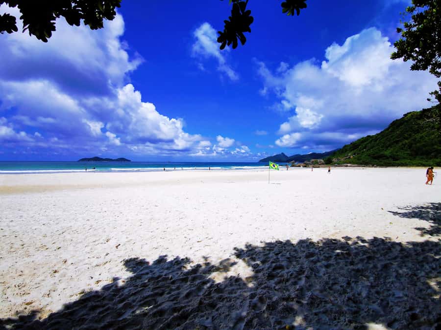 Ilha Grande: Lopes Mendes Private Hiking Tour - Is $224 per person good value?