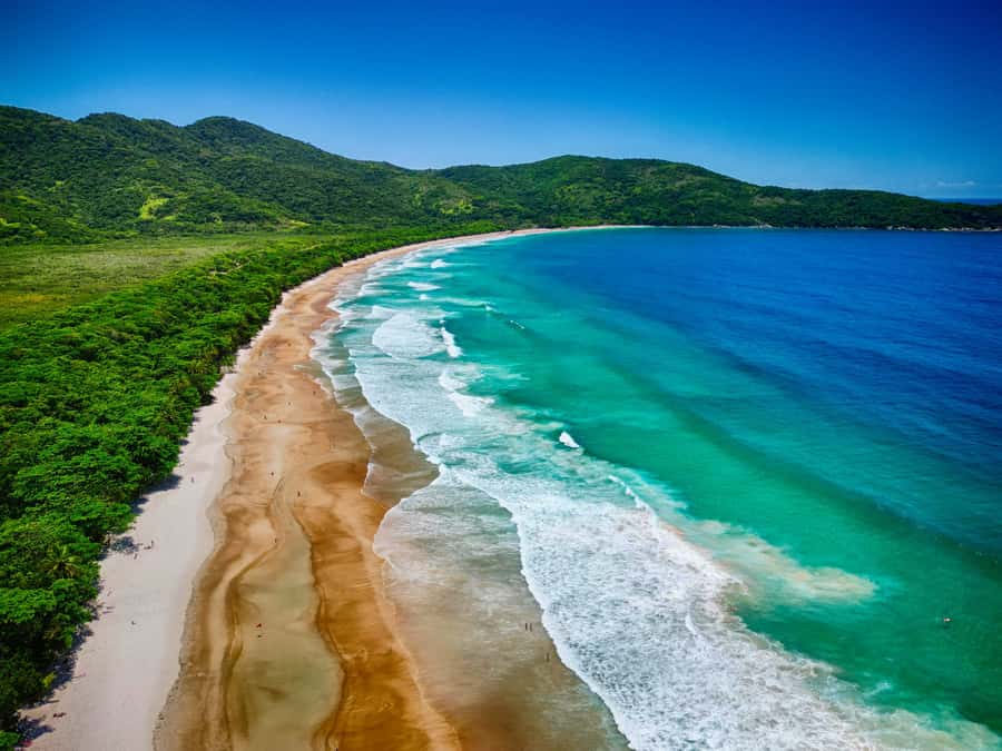 Ilha Grande: Lopes Mendes Private Hiking Tour - The first forest hour toward Palmas