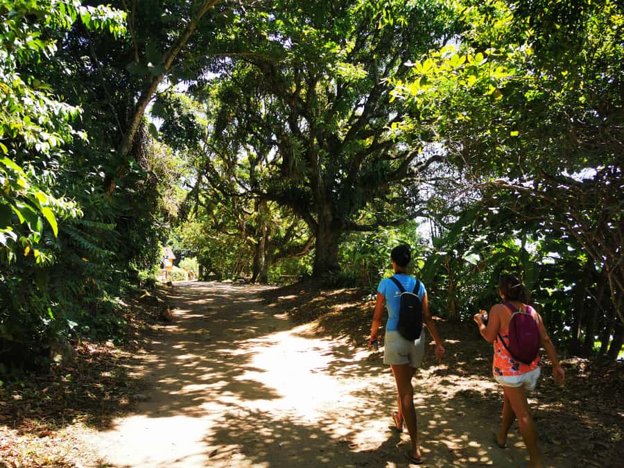 Ilha Grande: Private Historic Walking Tour with Natural Pool - What to pack for the forest and coast