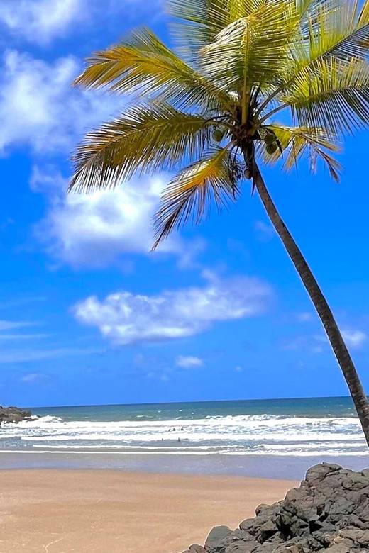 Itacare: 4 Beaches Trail and Tijuipe Waterfall - What the $42 price really covers