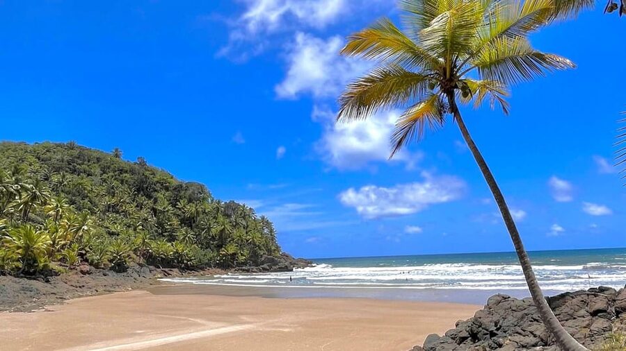 Itacare: 4 Beaches Trail and Tijuipe Waterfall - Should you book the four beaches and waterfall tour?