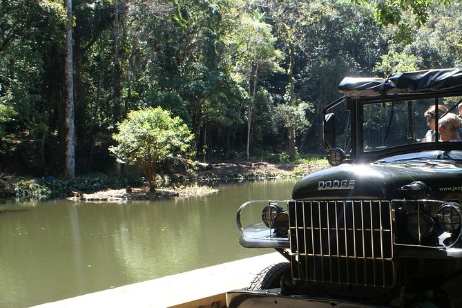 Jeep Adventure: Guided Tour through Tijuca Rain Forest - Why Tijuca Forest makes a smart Rio side trip