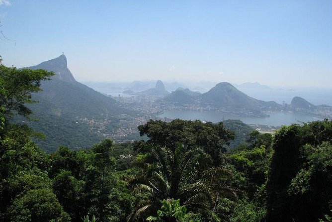 Jeep Adventure: Guided Tour through Tijuca Rain Forest - What the guide adds to the experience
