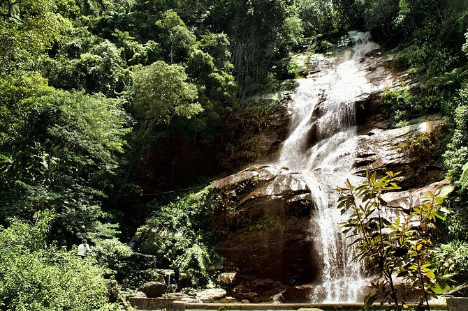 Jeep Adventure: Guided Tour through Tijuca Rain Forest - The open Jeep ride: fun, but not luxurious