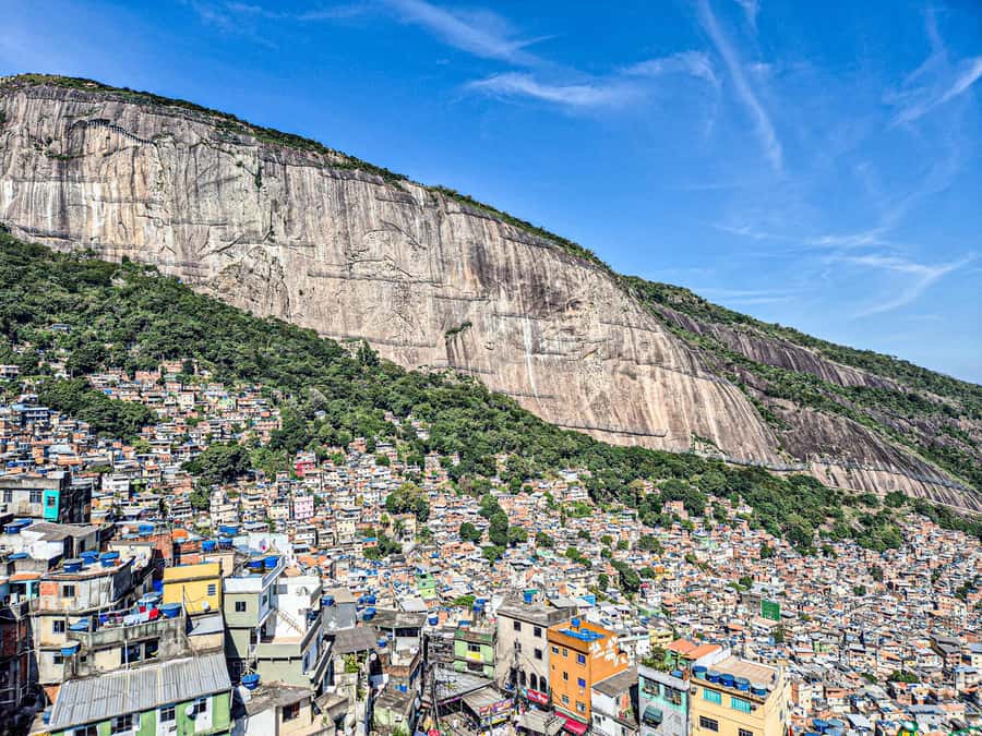 Jeep'n'Culture: Rocinha Favela and Tijuca Rainforest Tour - Guides, languages, and the real value of the tour