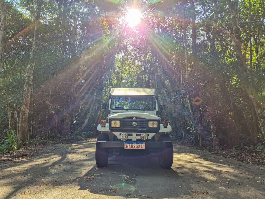 Jeep'n'Culture: Rocinha Favela and Tijuca Rainforest Tour - Booking details worth checking before you go