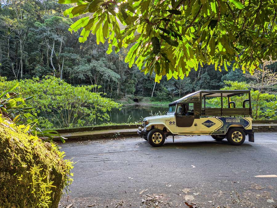 Jeep'n'Culture: Rocinha Favela and Tijuca Rainforest Tour - What the Visitor Center adds