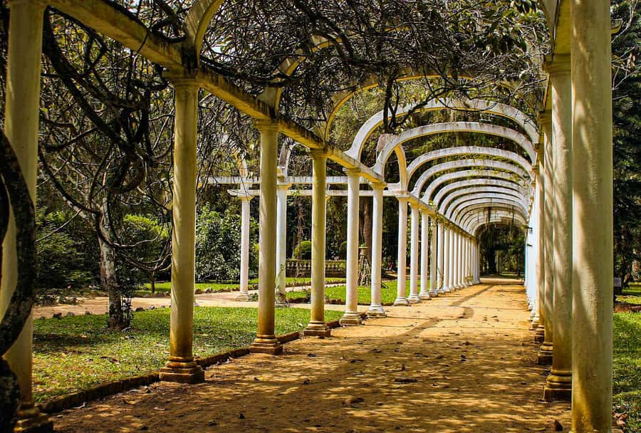 Jeep'n'Green: Rio Botanical Garden & Tijuca Rainforest Tour - What the mixed score means for your decision