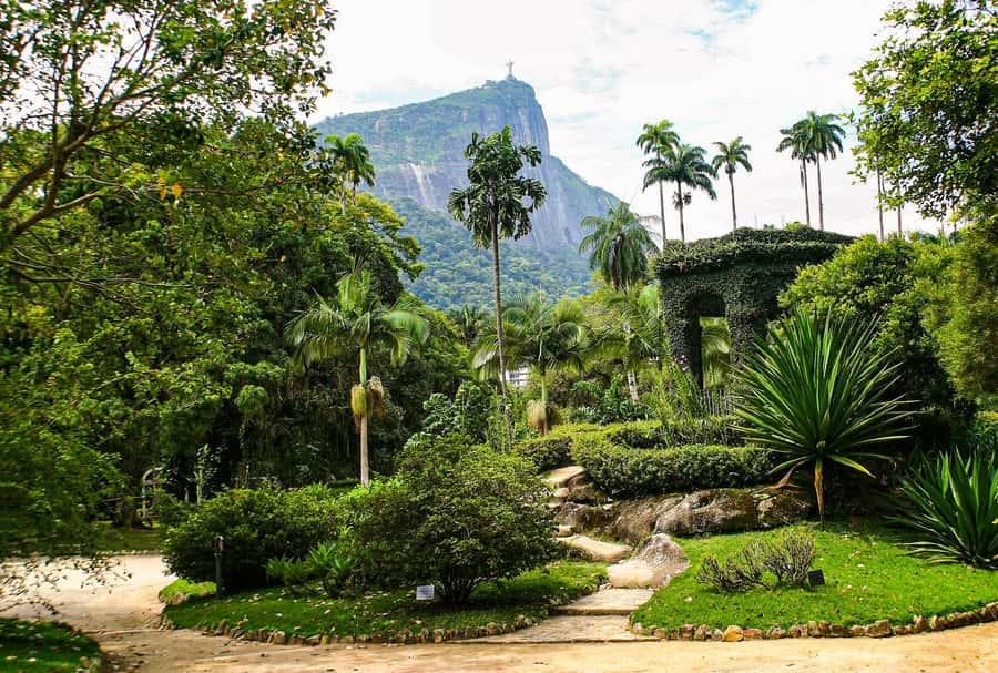 Jeep'n'Green: Rio Botanical Garden & Tijuca Rainforest Tour - Emperor’s Table gives Rio a high-altitude pause
