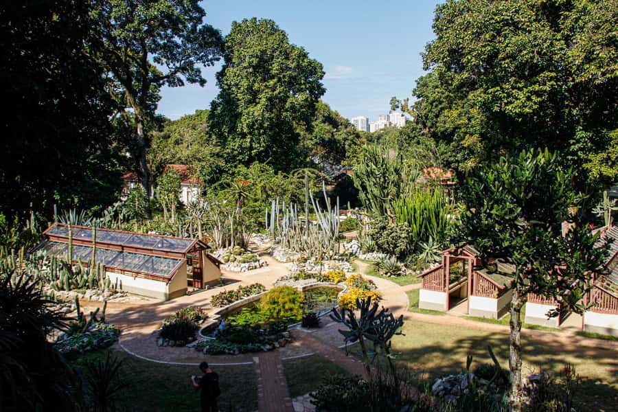 Jeep'n'Green: Rio Botanical Garden & Tijuca Rainforest Tour - Vista Chinesa looks over Rio’s famous beaches