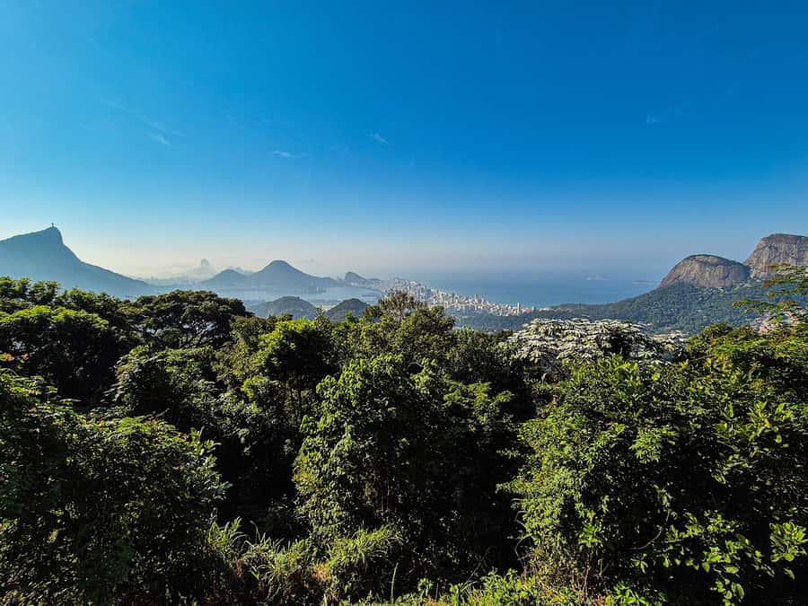 Jeep'n'Green: Rio Botanical Garden & Tijuca Rainforest Tour - Finish with hang gliders at Pepino Beach